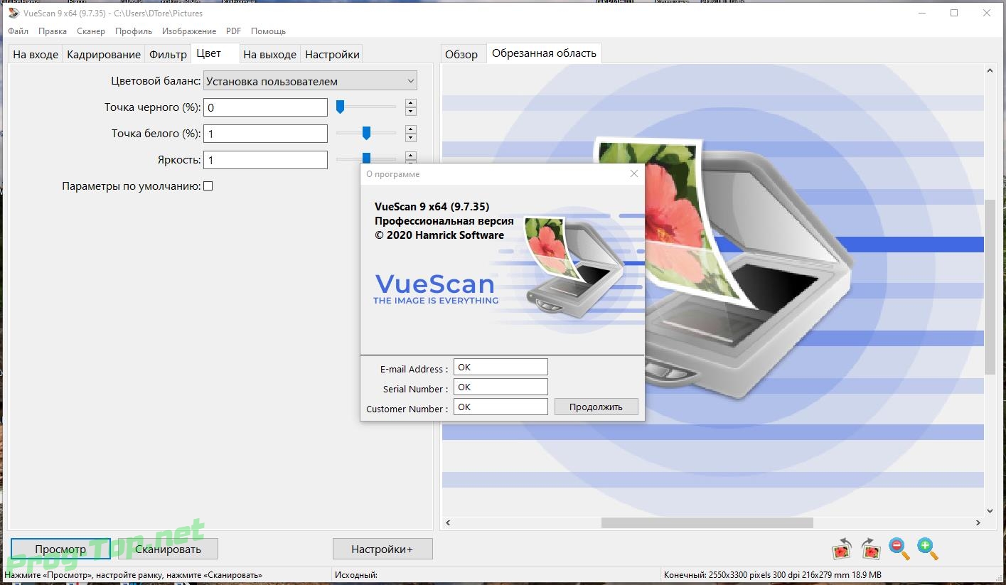 Программа сканирования VUESCAN
