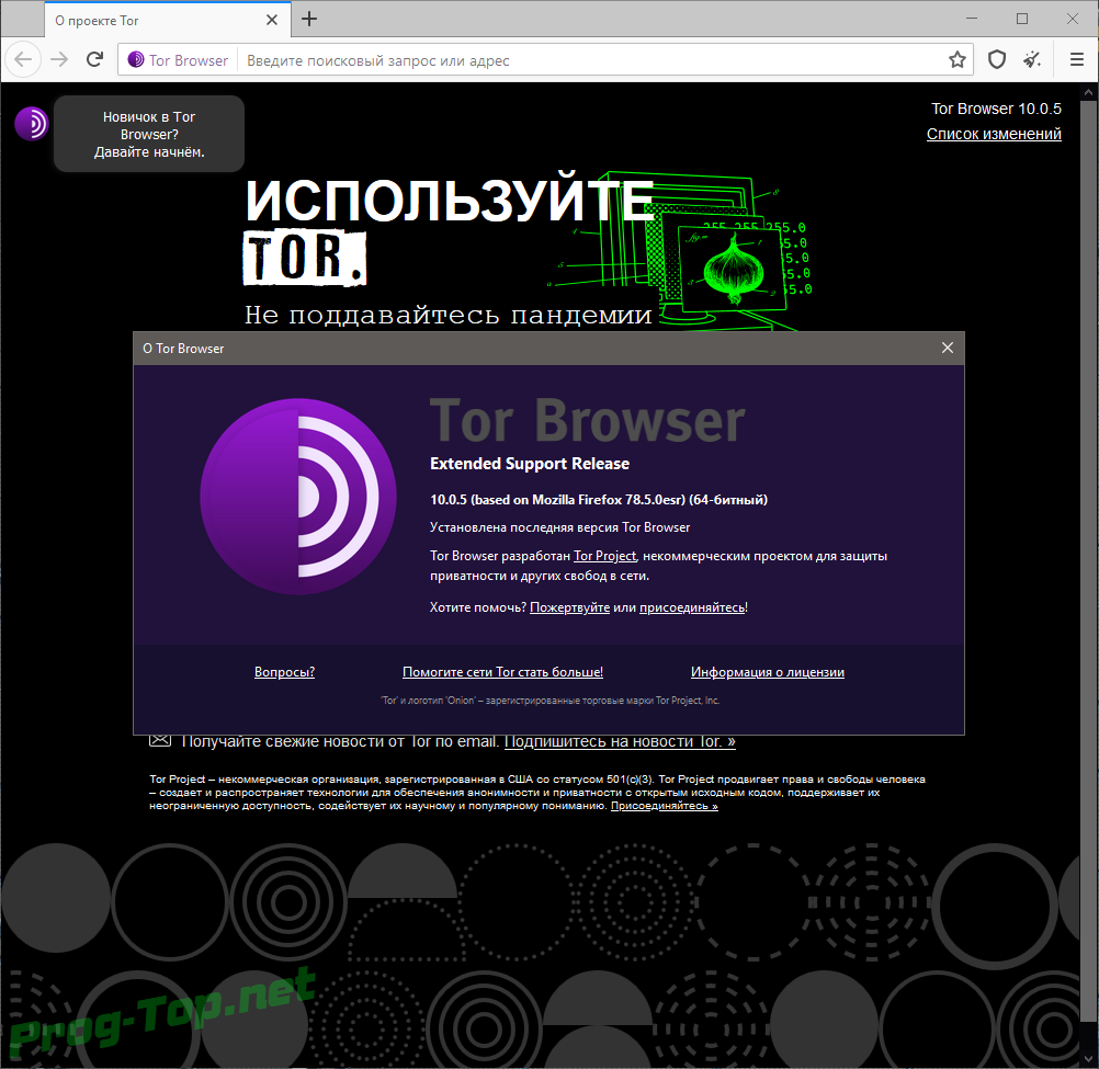 internet browser tor hidra
