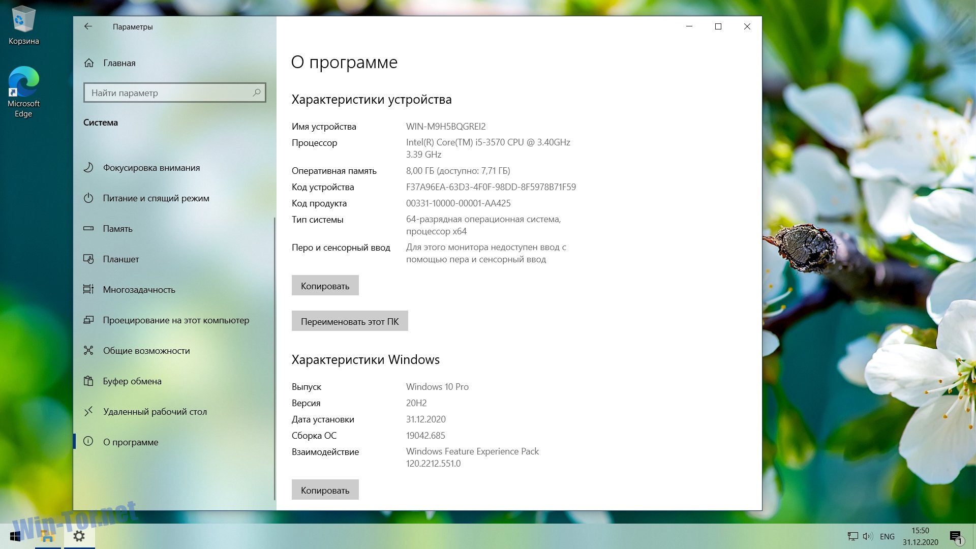 Телеграмм скачать бесплатно для ноутбука на русском для виндовс 10 фото 100
